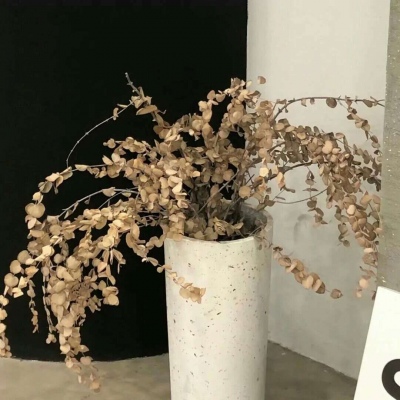 Furry插画氛围提升福瑞群